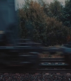 478.jpg