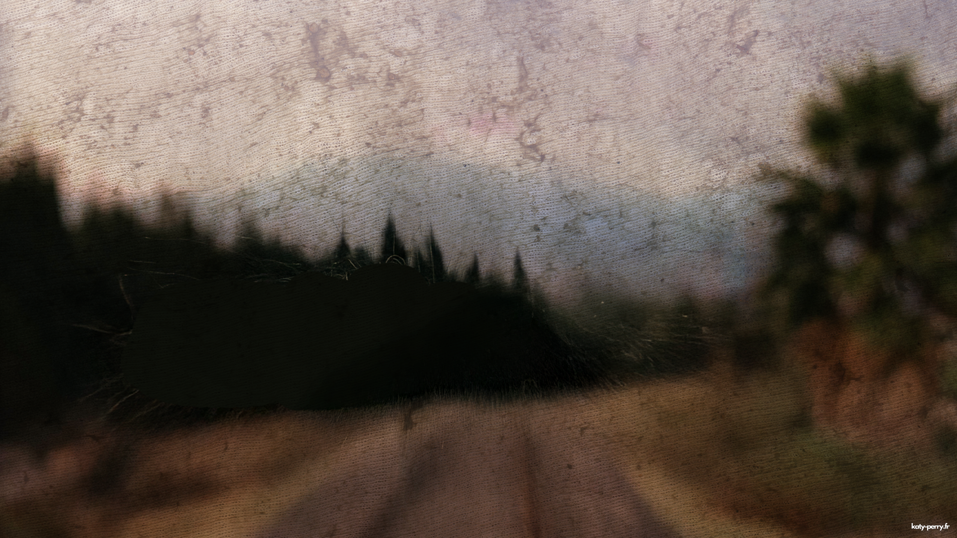 003.png 003.png