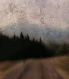 003.png