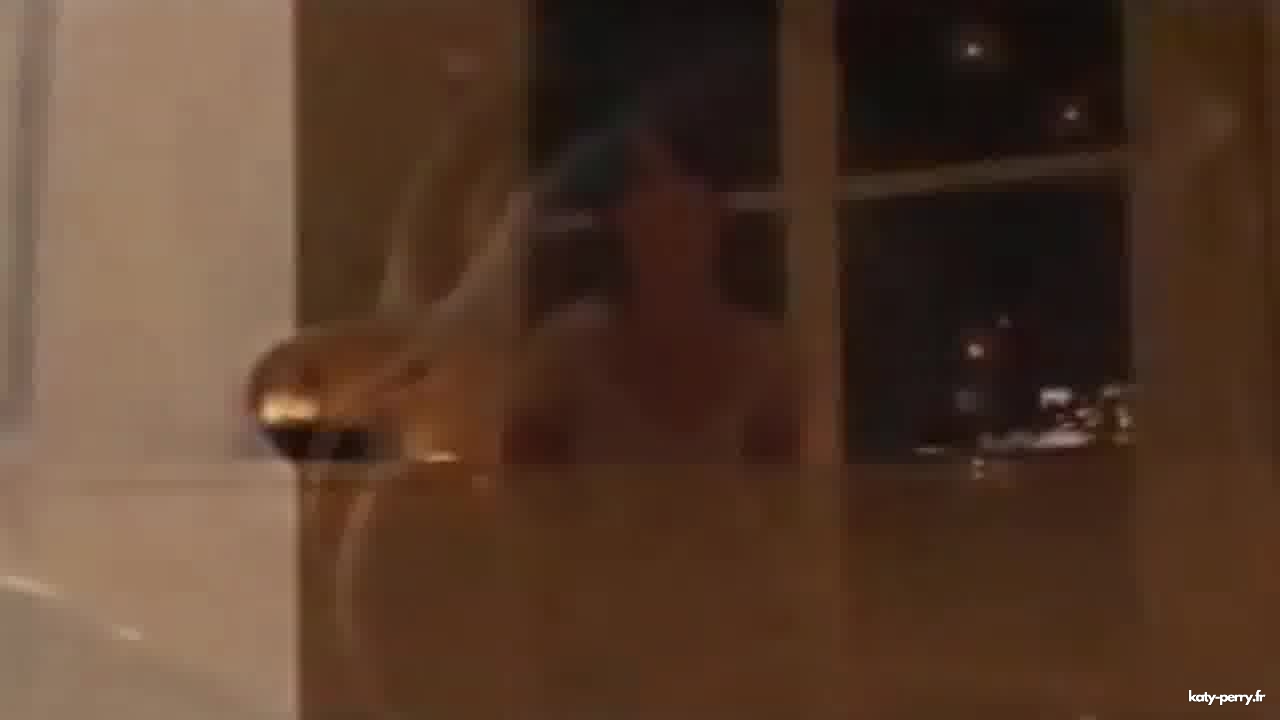 box_00017.JPEG