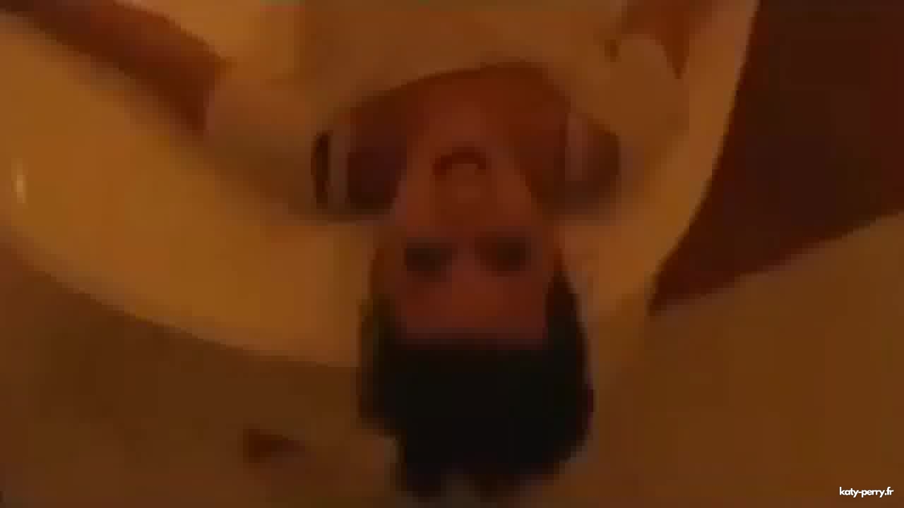 box_00394.JPEG