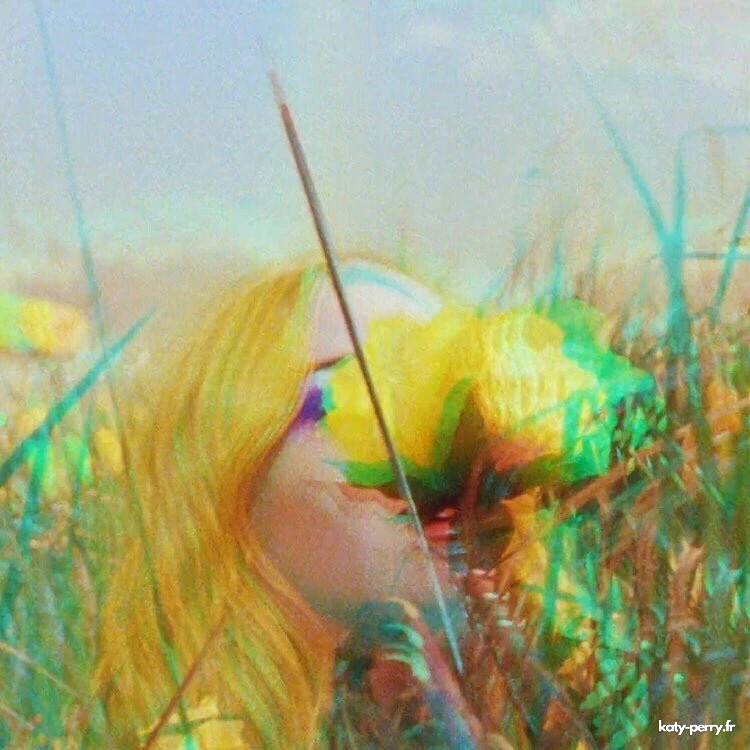 0002.jpg