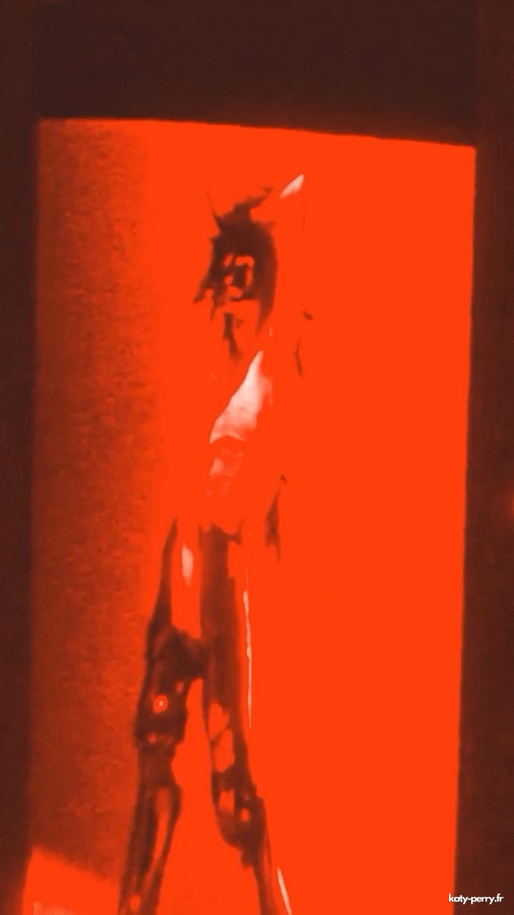 011.jpg