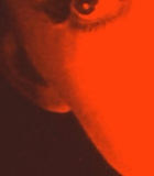 010.jpg