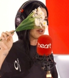 223.jpg