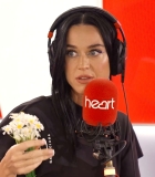 233.jpg