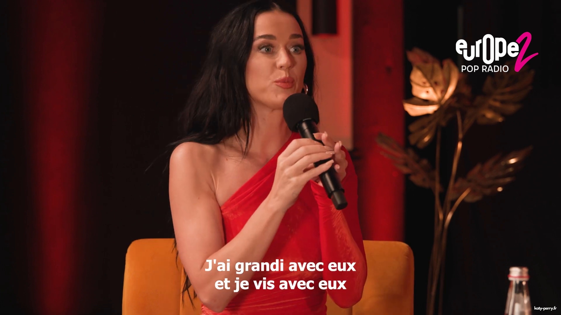 241.jpg