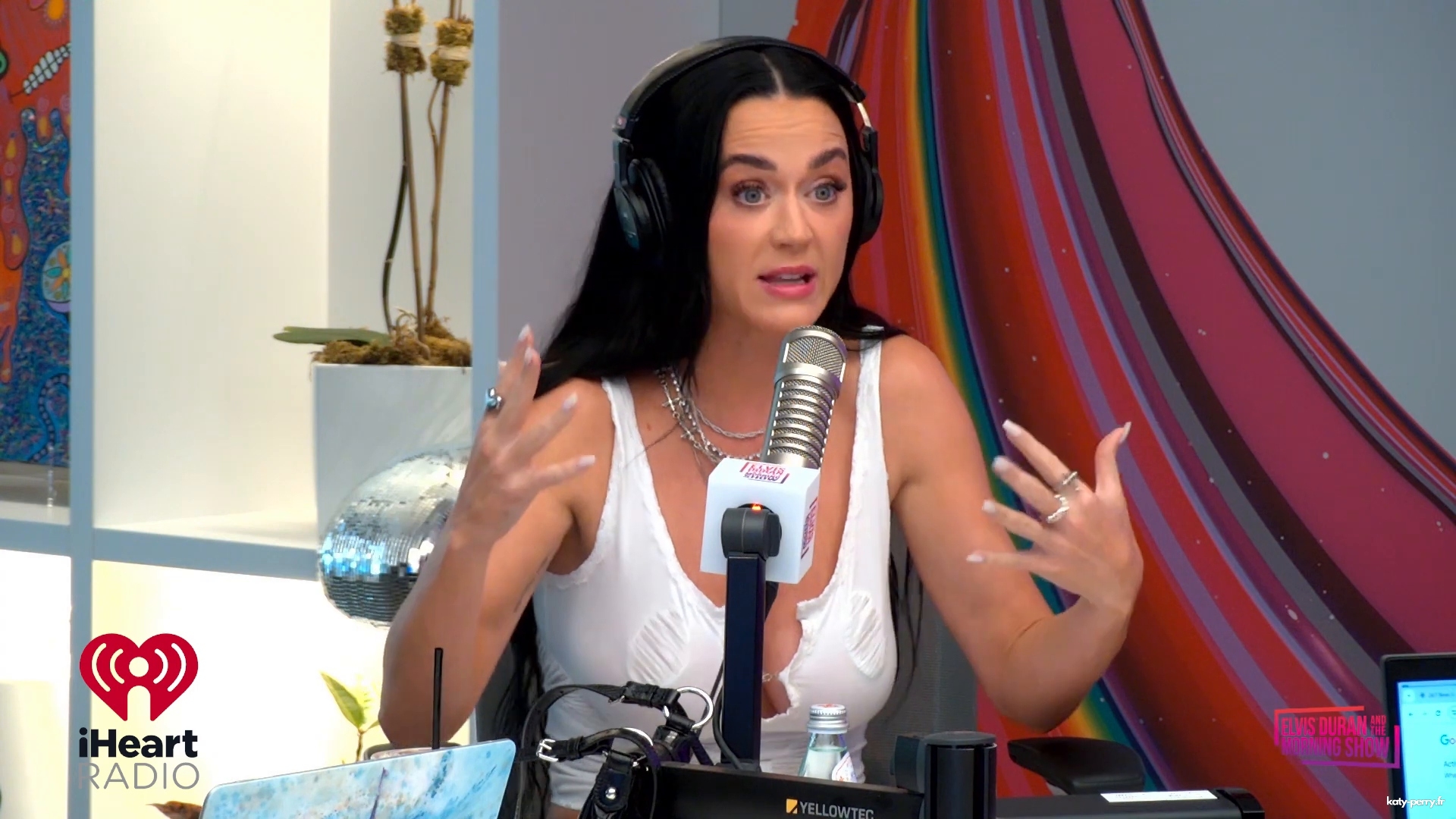 305.jpg