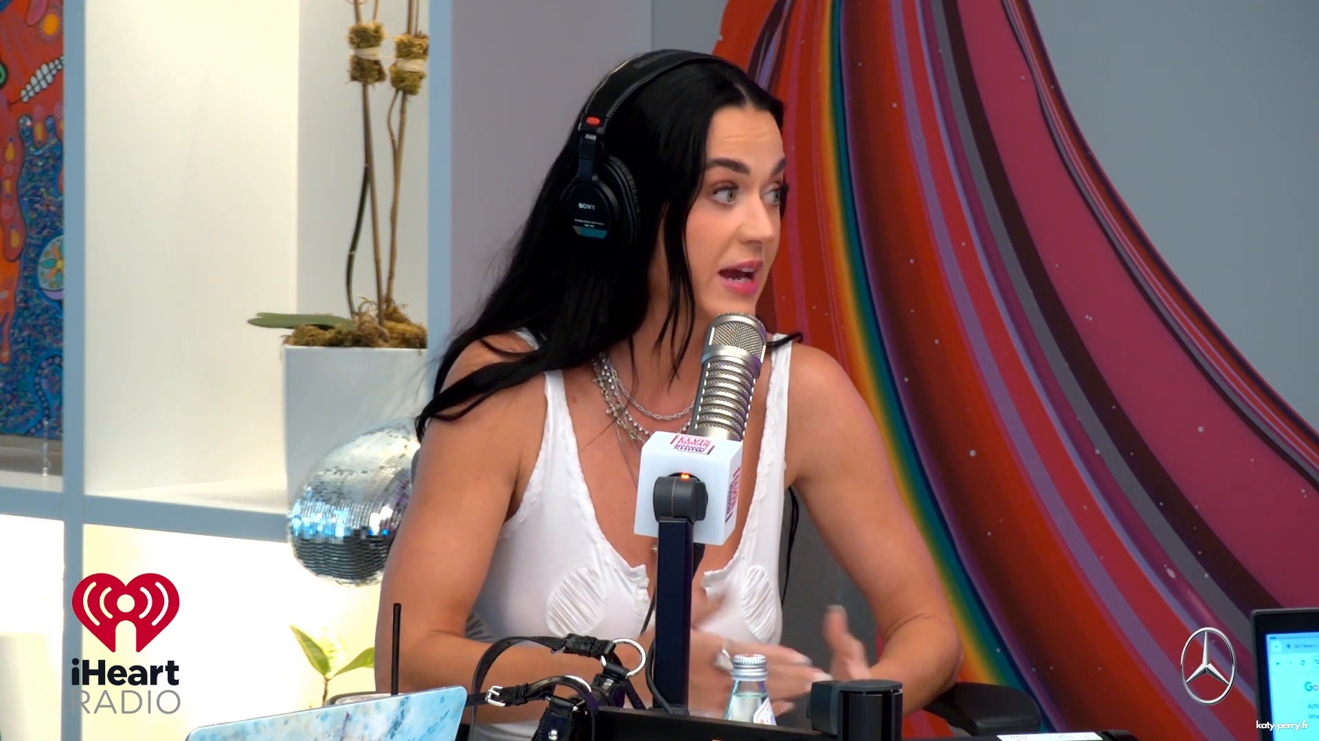 337.jpg
