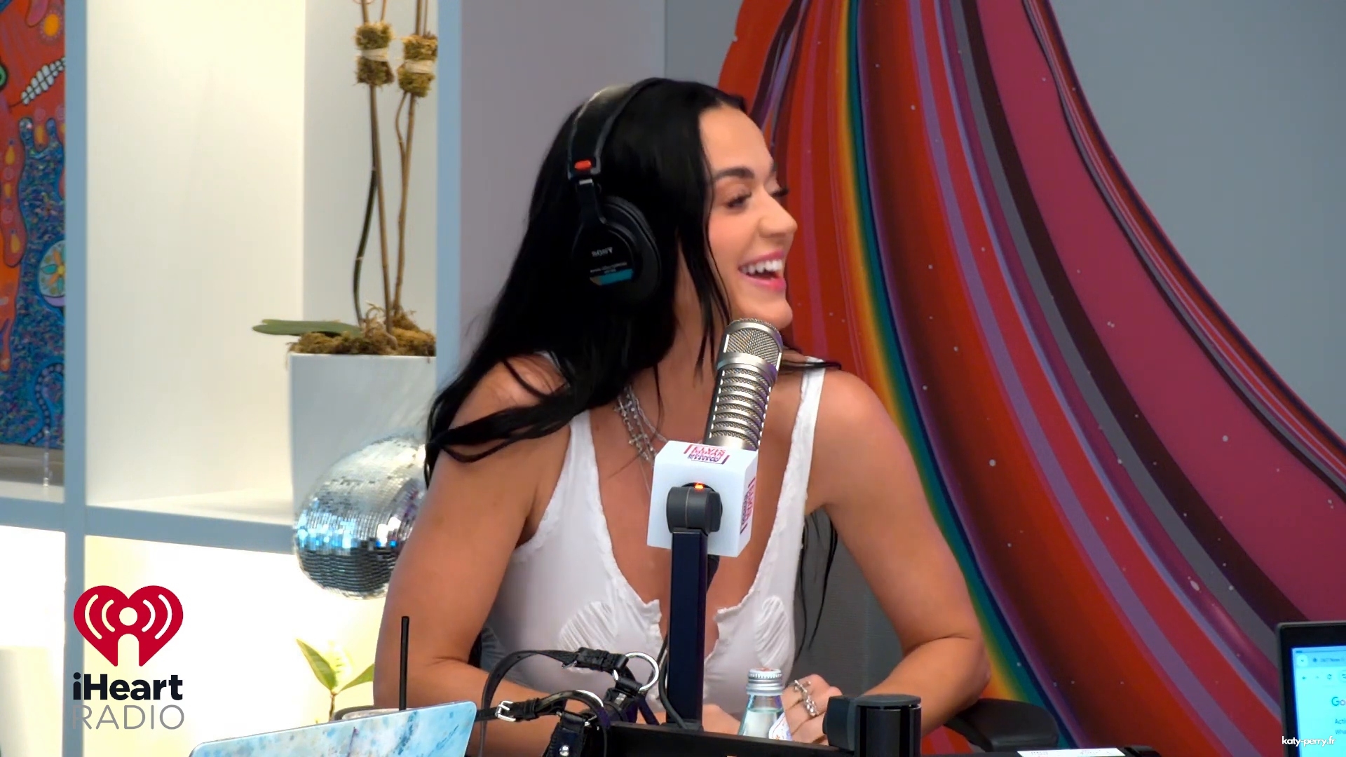 341.jpg