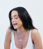 239.jpg