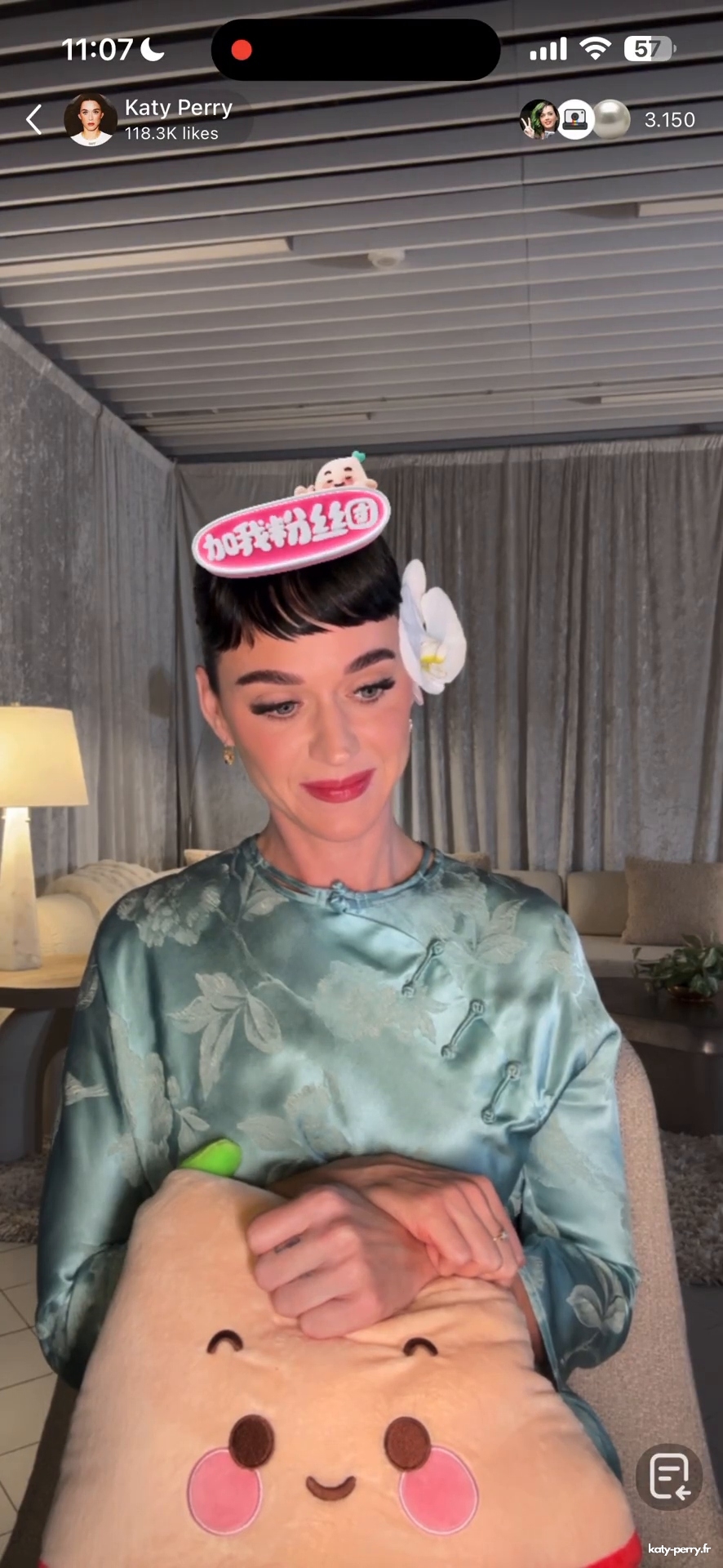 334.jpg