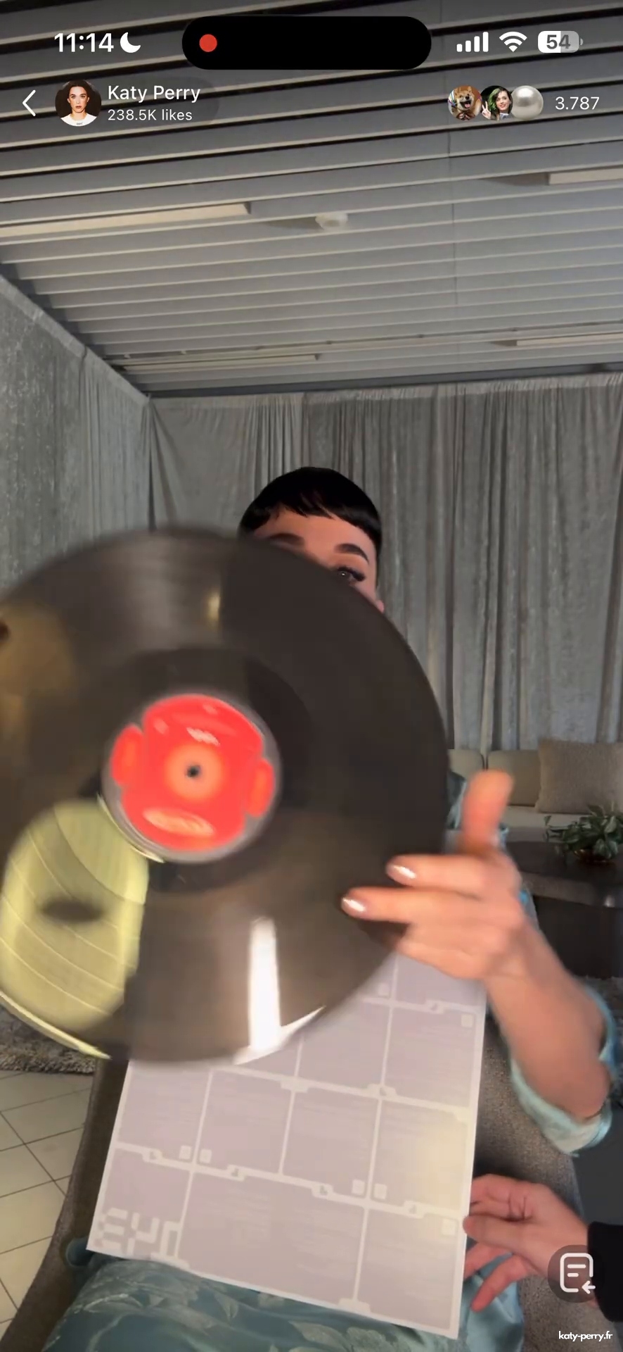 689.jpg