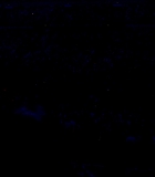 1355.jpg