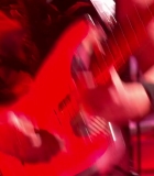 01868.jpg