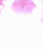 04941.jpg